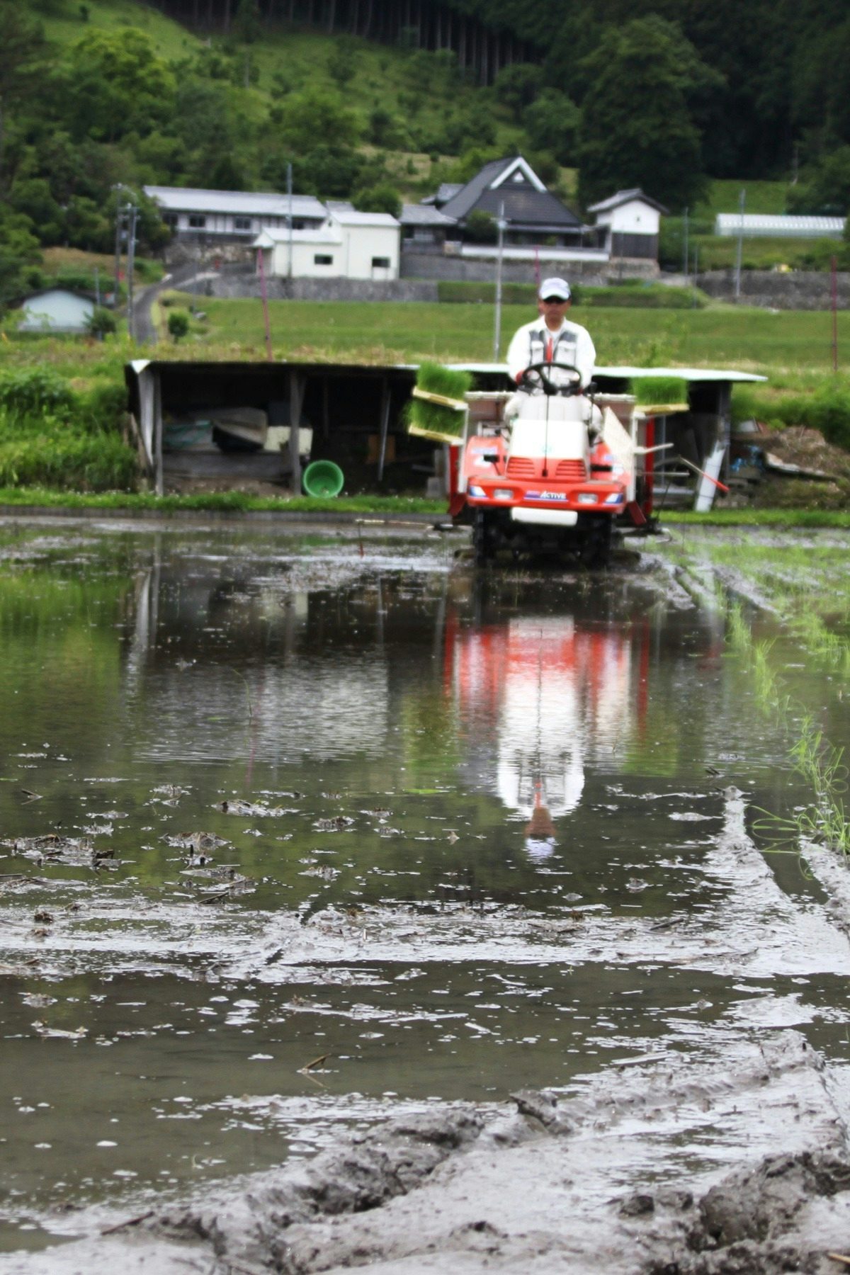 モノノベ第2話 日本の稲作事情表紙画像